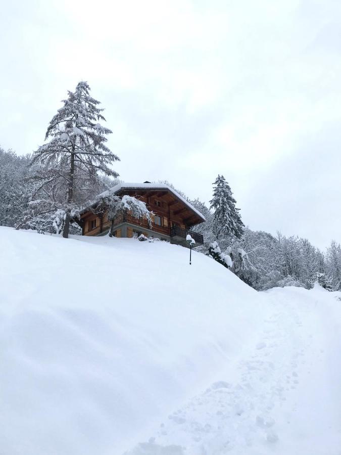 Appartamento La marmotte qui papote Le Grand-Bornand Esterno foto