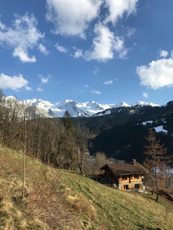 Appartamento La marmotte qui papote Le Grand-Bornand Esterno foto