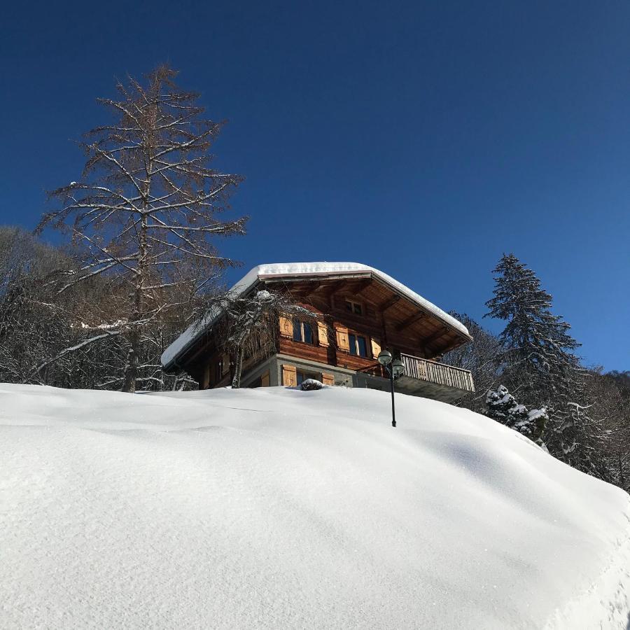 Appartamento La marmotte qui papote Le Grand-Bornand Esterno foto