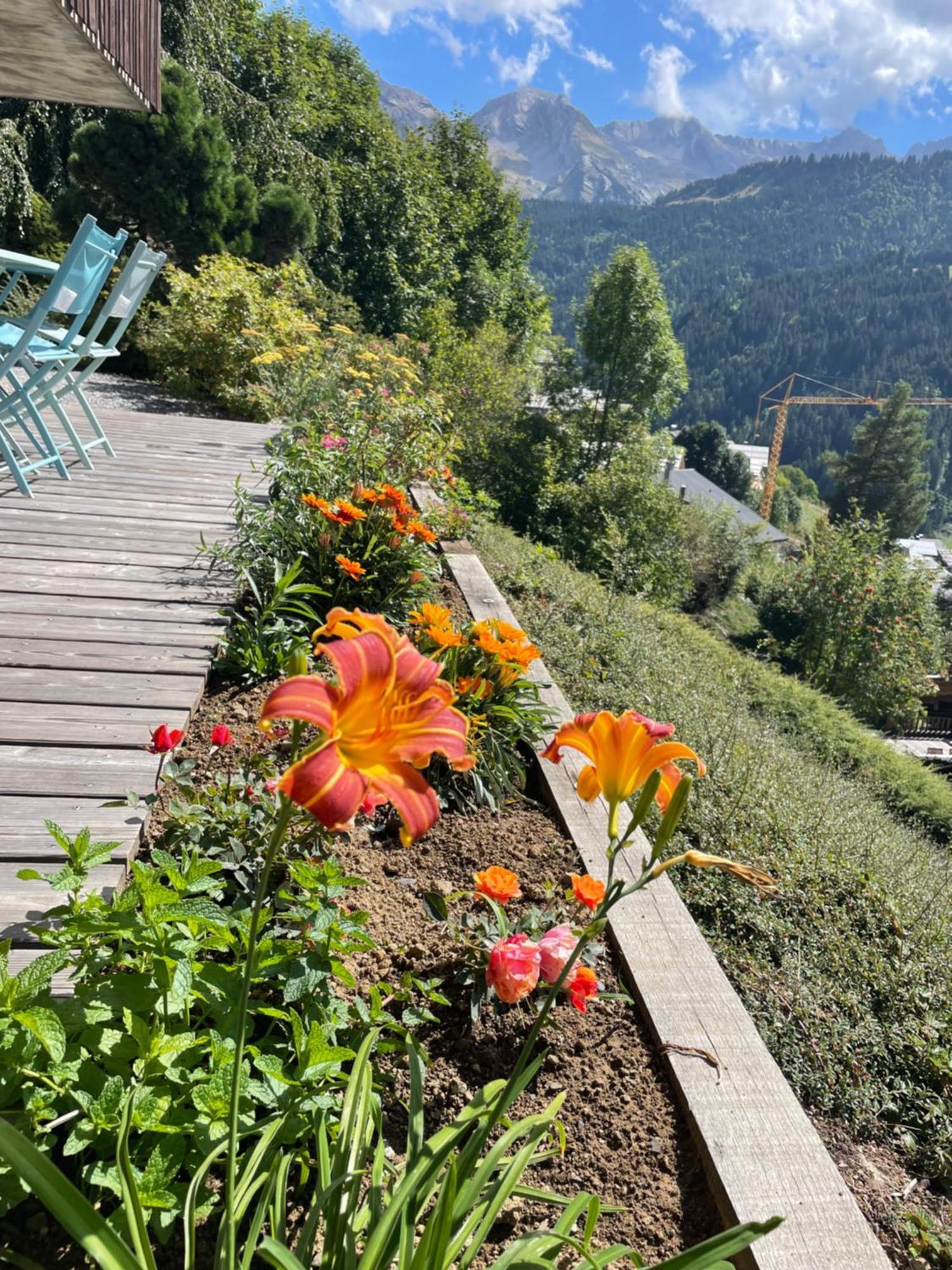 Appartamento La marmotte qui papote Le Grand-Bornand Esterno foto