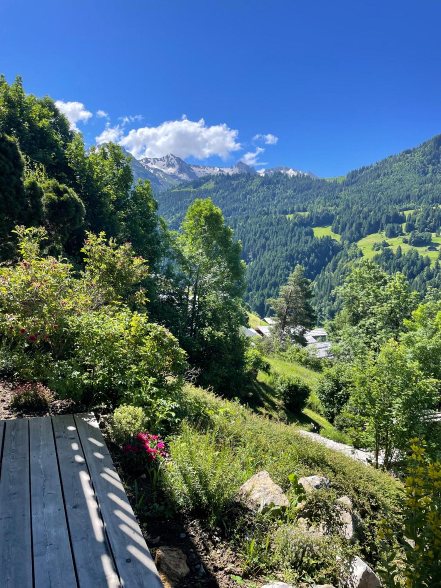 Appartamento La marmotte qui papote Le Grand-Bornand Esterno foto