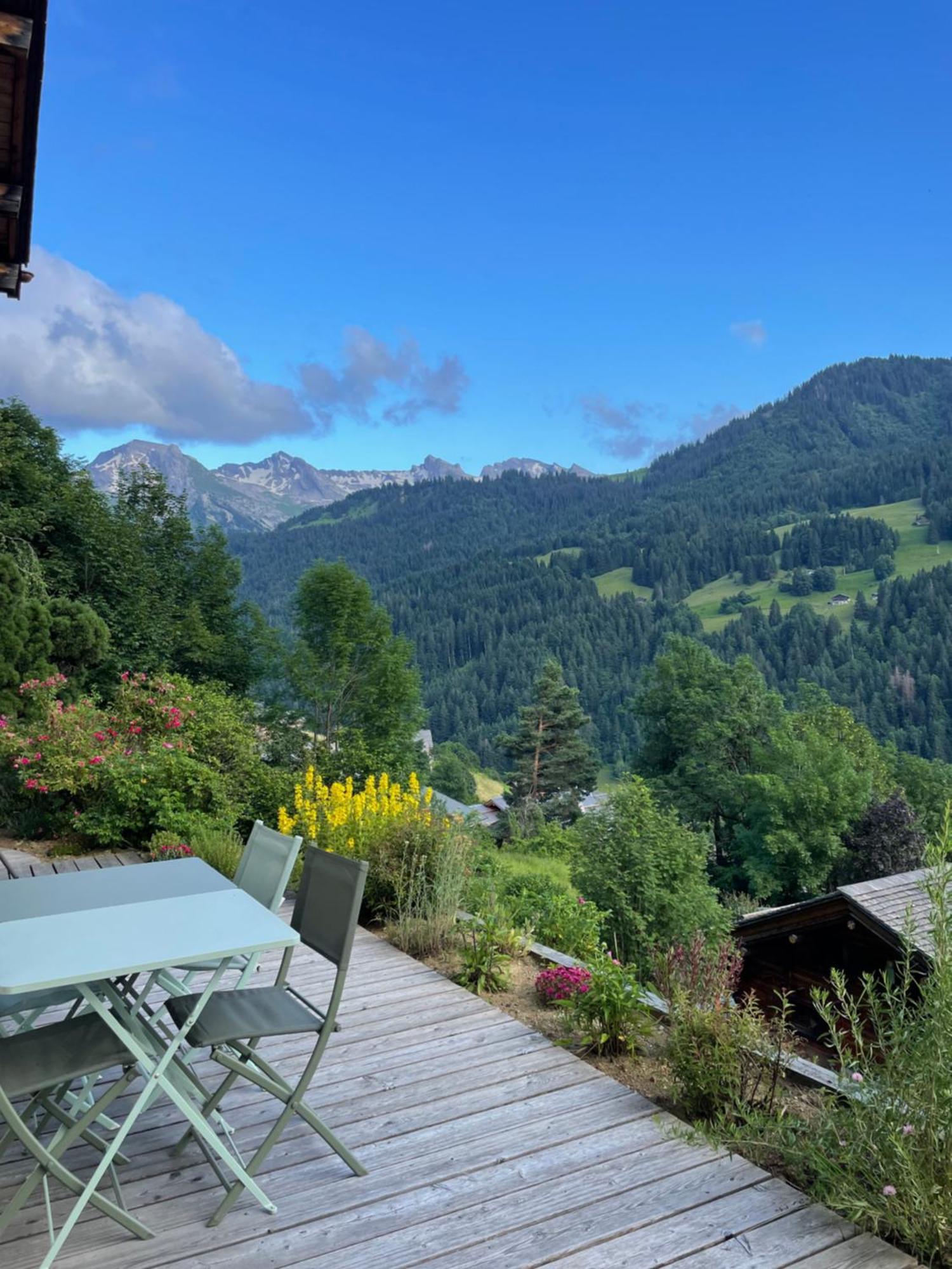 Appartamento La marmotte qui papote Le Grand-Bornand Esterno foto